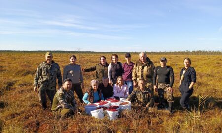 Новгородские госслужащие отправились на топи ради бойцов СВО. Теги: сбор клюквы, болото осенью, лесные ягоды