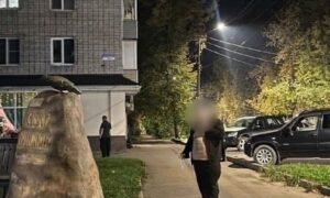 Житель Боровичей объяснил скандальный инцидент неудачной шуткой. Теги: Экран смартфона, Улица города, Человек с телефоном