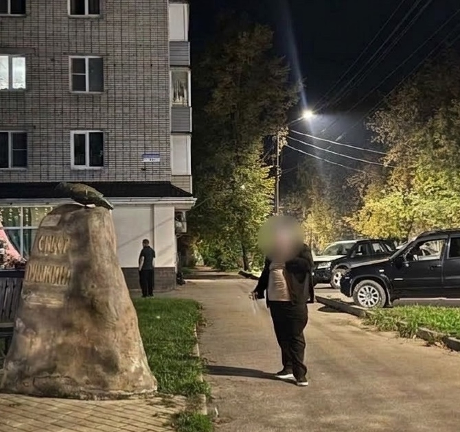 Житель Боровичей объяснил скандальный инцидент неудачной шуткой. Теги: Экран смартфона, Улица города, Человек с телефоном