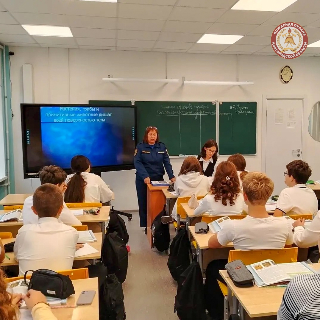 Школы Демянского округа посетили пожарные инструкторы с особыми уроками. Теги: пожарный в школе, урок ОБЖ, спасатели