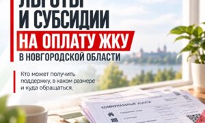 Тарифы ЖКУ в Новгородской области выросли: как оформить субсидию. Теги: квитанция жкх, оплата счетов