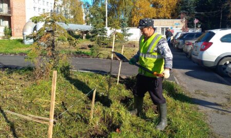 Сквер Защитников Отечества в Великом Новгороде получит живую изгородь. Теги: высадка кустарников, городской сквер, благоустройство парка