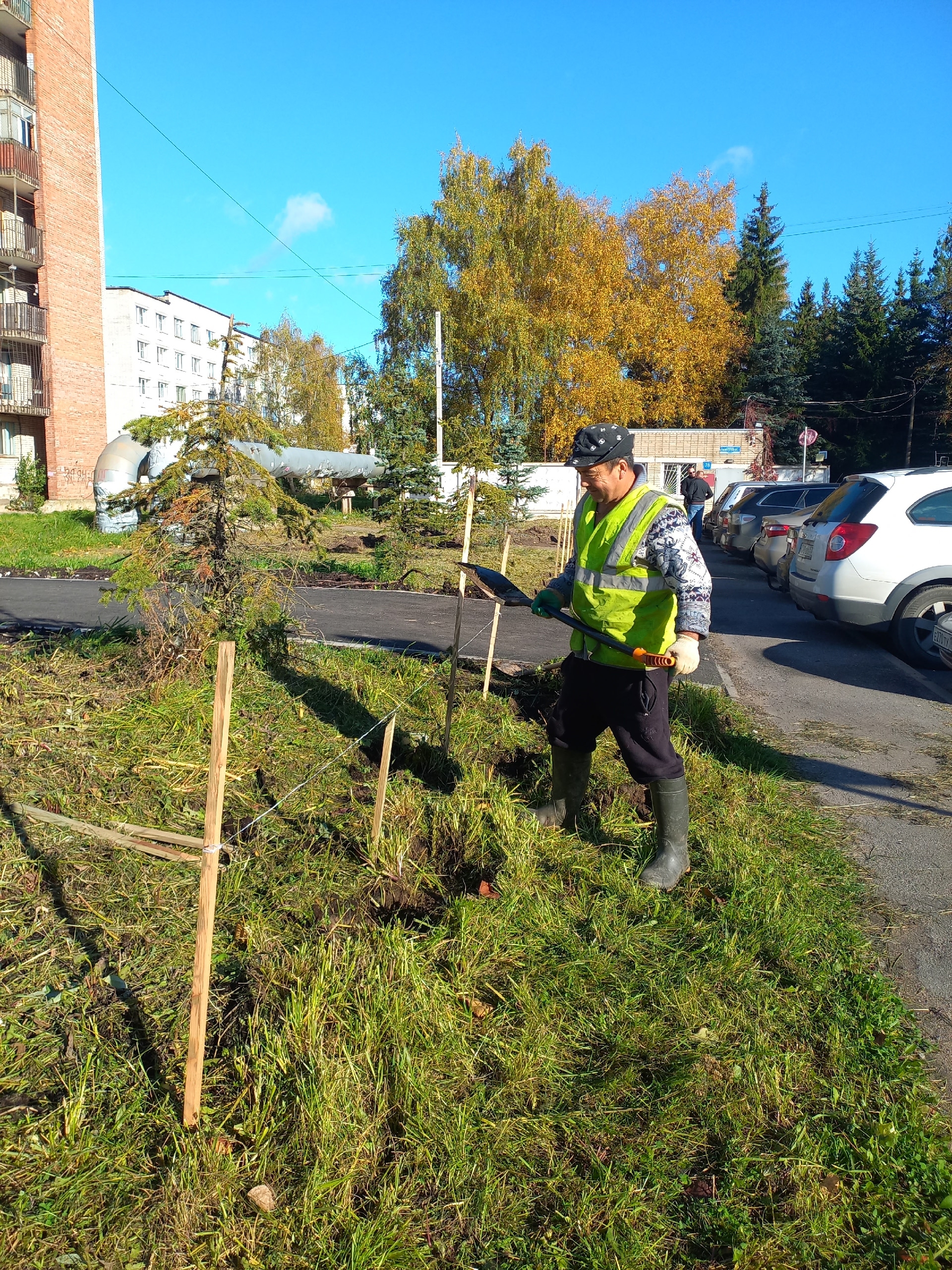 Сквер Защитников Отечества в Великом Новгороде получит живую изгородь. Теги: высадка кустарников, городской сквер, благоустройство парка