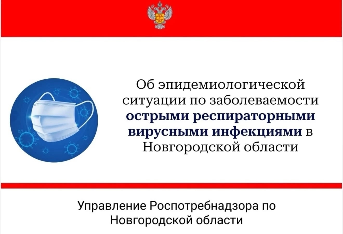 Роспотребнадзор Новгородской области раскрыл свежие данные по эпидемии гриппа и ОРВИ. Теги: Вакцинация от гриппа, Медицинский кабинет, Врач со шприцем