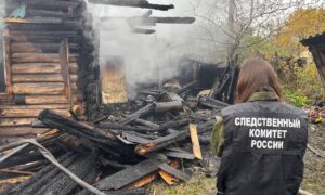 СК начал проверку после гибели мужчины на пожаре в Окуловке. Теги: пожар в доме, следователь СКР