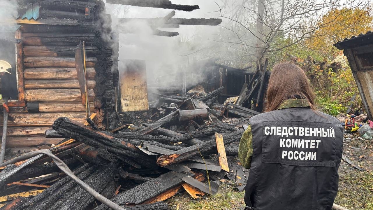 СК начал проверку после гибели мужчины на пожаре в Окуловке. Теги: пожар в доме, следователь СКР