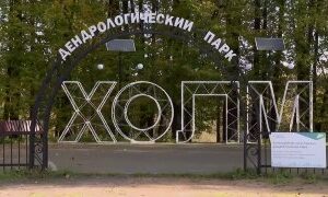 Холмский дендропарк преобразился: в старинном саду поселились лесные звери. Теги: парк культуры, деревянные скульптуры, аллея парка