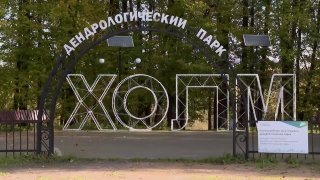 Холмский дендропарк преобразился: в старинном саду поселились лесные звери. Теги: парк культуры, деревянные скульптуры, аллея парка