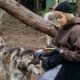 Старорусская школьница Дарья Арсеньева удостоена знака «Доброволец России». Теги: Волонтер девушка, Нагрудный знак, Награждение активистов