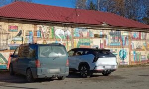 Улицу Молодёжную в Валдае украсил необычный арт-объект. Теги: мурал на стене, уличное граффити, трансформаторная подстанция