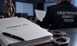 Боровичанка заявила об изнасиловании из-за похищенной собаки. Теги: Следственный комитет, папка уголовного дела