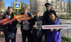 Старорусский округ: автоинспекторы и волонтеры вышли к детям с подарками. Теги: Световозвращатель, Инспектор ДПС, Безопасность детей