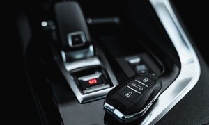 Житель Новгородской области купил липовые права за 75 тысяч и пошел под суд. Теги: водительские права, патруль ДПС, зал суда