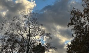 Новгородскую область накроет атлантическое тепло с дождями. Теги: дождь в городе, осенняя непогода