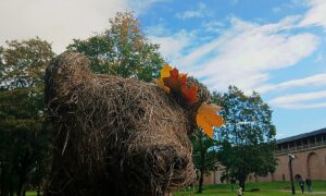 Новгородская область встречает антициклон: какой будет погода на выходных. Теги: осенний туман, осенний город, пасмурное небо