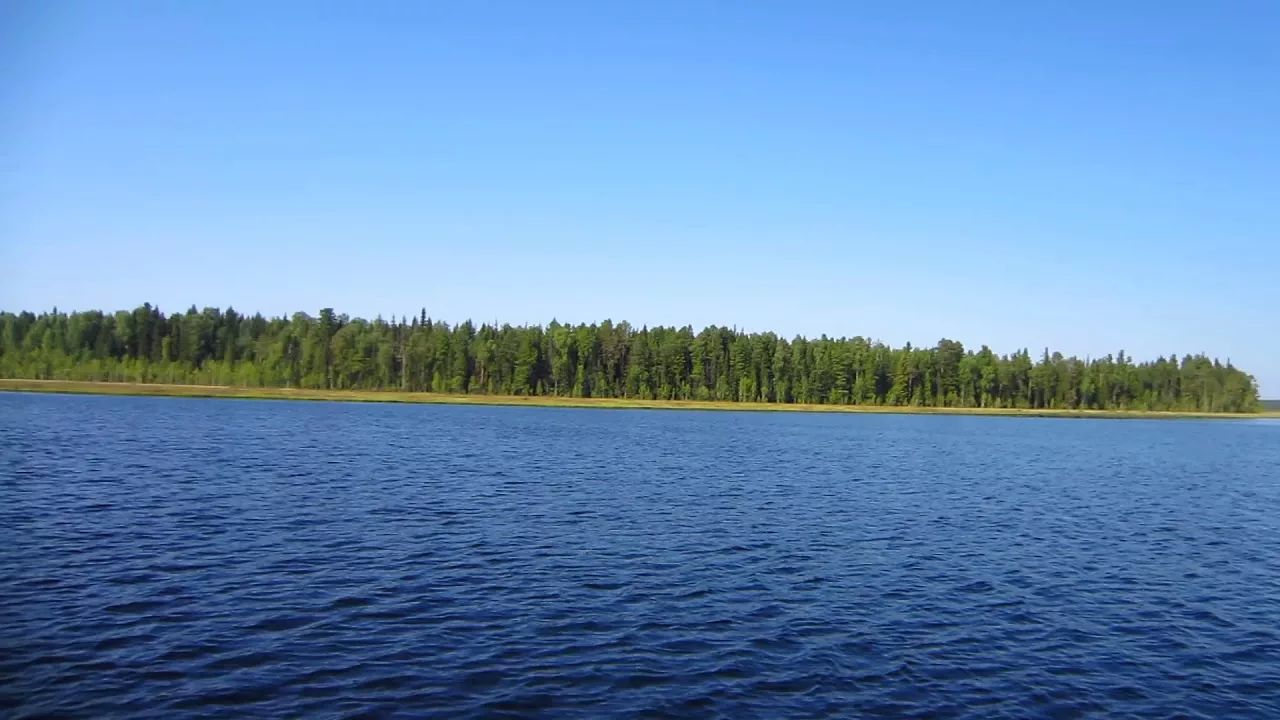 Озеро в солнечный день