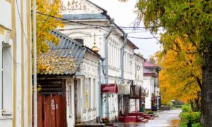 Крестцы